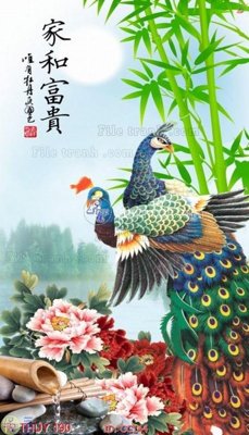 File tranh File gốc tranh chim công CC144 (ảnh gốc) in trần 3D