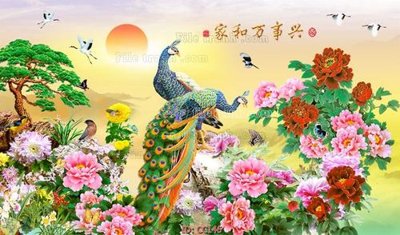 File tranh File gốc tranh chim công CC146 (ảnh gốc) chi tiết rõ ràng