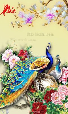 Download file File gốc tranh chim công CC159 (gốc) in mica cao cấp