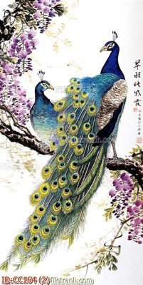 File tranh File gốc tranh chim công CC164 (bản gốc) in lụa 5D