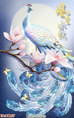 File ảnh gốc File gốc tranh chim công CC167 không vỡ nét