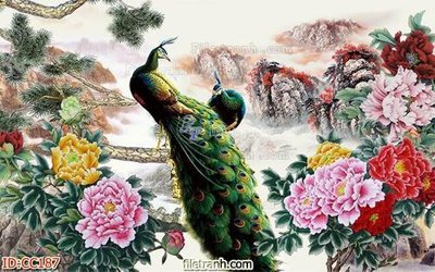 File tranh File gốc tranh chim công CC187 (gốc) chủ đề trẻ em