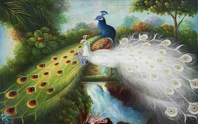 File tranh File gốc tranh chim công CC19 (file gốc) chủ đề phong thủy