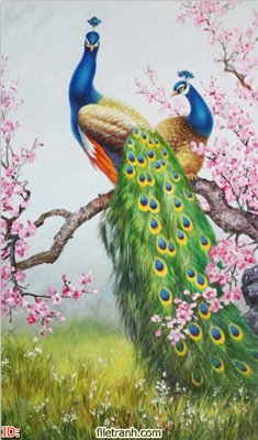 File gốc File gốc tranh chim công CC202 (chủ đề hiện đại) trang trí