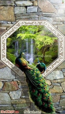 Tải file gốc File gốc tranh chim công CC207 (in không vỡ ảnh)