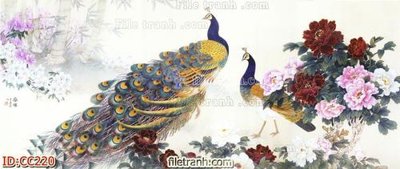 File in trần File gốc tranh chim công CC220 (bản gốc) 5D