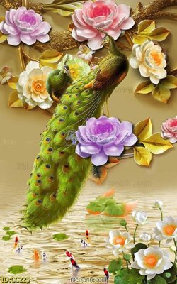 Tải file File gốc tranh chim công CC225 (gốc) chủ đề phong thủy