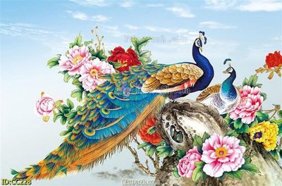 File gốc in ấn File gốc tranh chim công CC228 chất lượng vượt trội