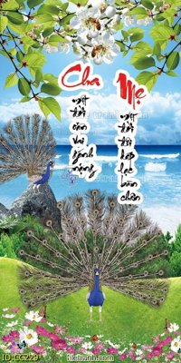 File PSD File gốc tranh chim công CC229 (bản gốc) đã tách nền