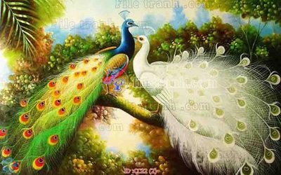 File PSD File gốc tranh chim công CC22 (gốc) tách lớp chi tiết