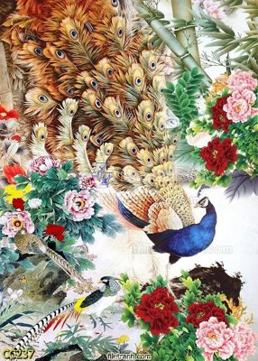 File gốc File gốc tranh chim công CC237 (in lụa) tranh mã đáo