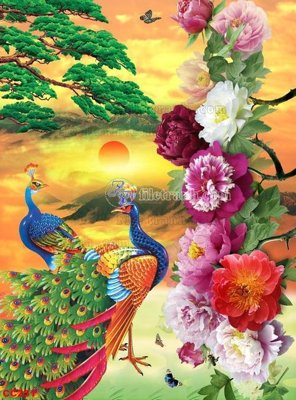 Tải file File gốc tranh chim công CC251 (gốc) chủ đề tâm linh