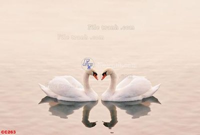 File tranh File gốc tranh chim công CC263 (ảnh gốc) độ nét vượt trội