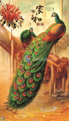 Tải file File gốc tranh chim công CC29 (gốc) làm file tranh quảng cáo