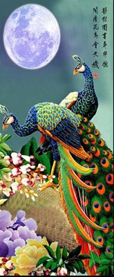 Cung cấp file tranh gốc File gốc tranh chim công CC4 độc quyền