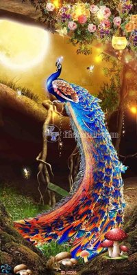 File gốc File gốc tranh chim công CC44 (in ấn) màu sắc trung thực