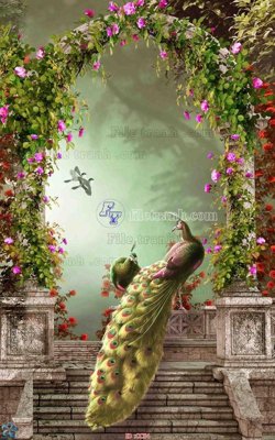 File ảnh File gốc tranh chim công CC54 (gốc) in biển hiệu