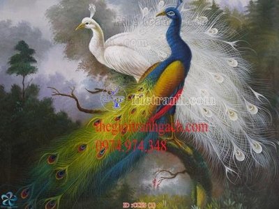 File tranh File gốc tranh chim công CC55 (bản gốc) in canvas