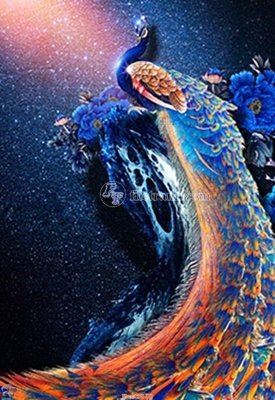 Tải file gốc File gốc tranh chim công CC58 (in tráng gương) siêu đẹpFile tranh gốc File gốc tranh chim công CC58 chất lượng cao