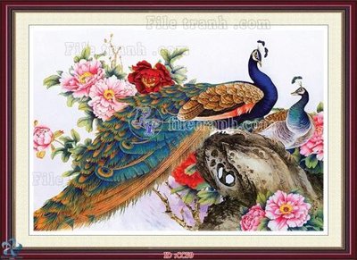 Tải file File gốc tranh chim công CC59 (gốc) làm file quảng cáo