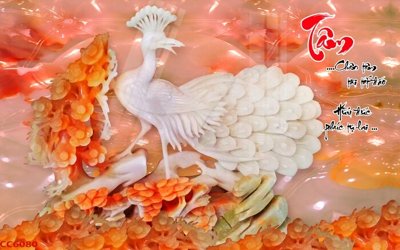 File gốc File gốc tranh chim công CC6080 (PNG) chất lượng cao