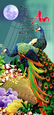 File ảnh File gốc tranh chim công CC6090 (gốc) in standee