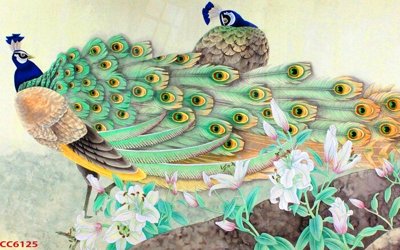 File ảnh File gốc tranh chim công CC6125 (gốc) in decal dán tường