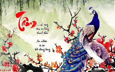 File gốc File gốc tranh chim công CC6159 (in ấn) màu sắc trung thực