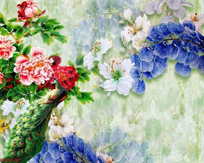 File PSD File gốc tranh chim công CC6170 (gốc) cho in quảng cáo