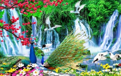 File gốc File gốc tranh chim công CC6212 (PNG) trong suốt (transparent)