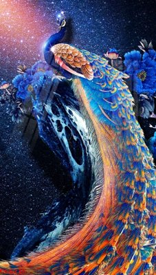 Mua file ảnh gốc File gốc tranh chim công CC6215 (chất lượng cao)