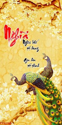 Tải file File gốc tranh chim công CC6266 (ảnh gốc) file TIFF