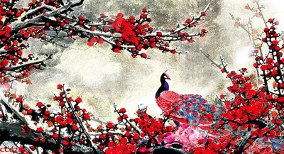 File in lụa File gốc tranh chim công CC6286 (phong cảnh) File gốc tranh chim công CC6286