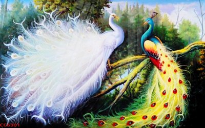 Tải về file tranh gốc File gốc tranh chim công CC6301 (để in quảng cáo)