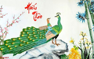 File in mica File gốc tranh chim công CC6307 (bản gốc) làm vách ngăn