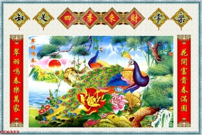 File tranh in tráng gương File gốc tranh chim công CC6323 (siêu nét)