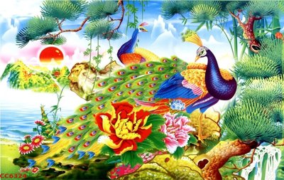 Tải file File gốc tranh chim công CC6324 (ảnh gốc) độ phân giải 300dpi