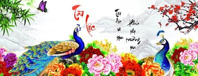 File PSD File gốc tranh chim công CC6328 (gốc) nhiều lớp (multi-layer)