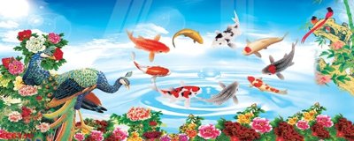 File tranh File gốc tranh chim công CC6330 (gốc) in backlit film