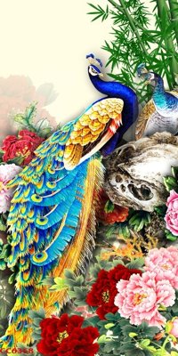 File in lụa File gốc tranh chim công CC6368 (tân cổ điển) File gốc tranh chim công CC6368