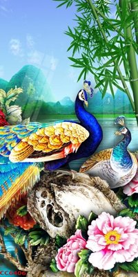 Download file tranh PSD File gốc tranh chim công CC6406 để chỉnh sửa