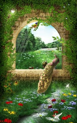 Ảnh gốc File gốc tranh chim công CC6453 (độ nét cao) in tráng gương