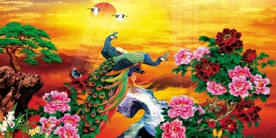 File gốc File gốc tranh chim công CC6482 (Filetranh.com) File gốc tranh chim công CC6482