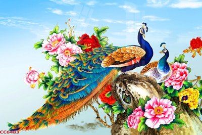 Tải file gốc File gốc tranh chim công CC6483 (in tráng gương) 5DFile gốc File gốc tranh chim công CC6483 (in ấn) phiên bản premium