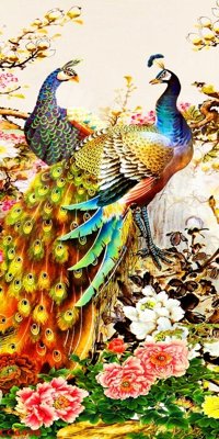 Tải file gốc File gốc tranh chim công CC6498 (để in lụa)