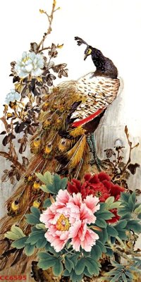 Tải file gốc File gốc tranh chim công CC6595 dùng cho in ấn