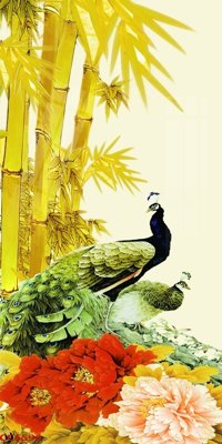 File PSD File gốc tranh chim công CC6596 (nguyên gốc) chất lượng cao