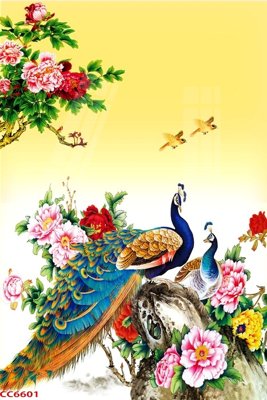 File gốc File gốc tranh chim công CC6601 (dành cho quảng cáo)
