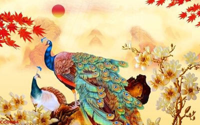 File gốc File gốc tranh chim công CC6604 (Filetranh.com) File gốc tranh chim công CC6604