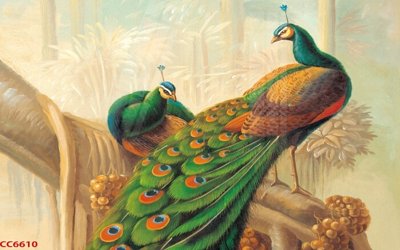 File in trần File gốc tranh chim công CC6610 (bản gốc) bầu trời